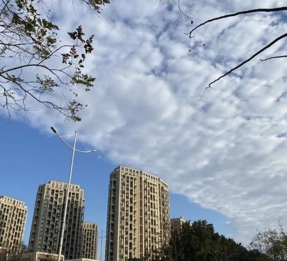 台州市气象台|又又又又下雪了！浙江多地飘雪，网友：快乐又回来啦