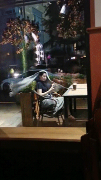 |搞笑GIF:一张图告诉你 全班就我一个男生有多开心