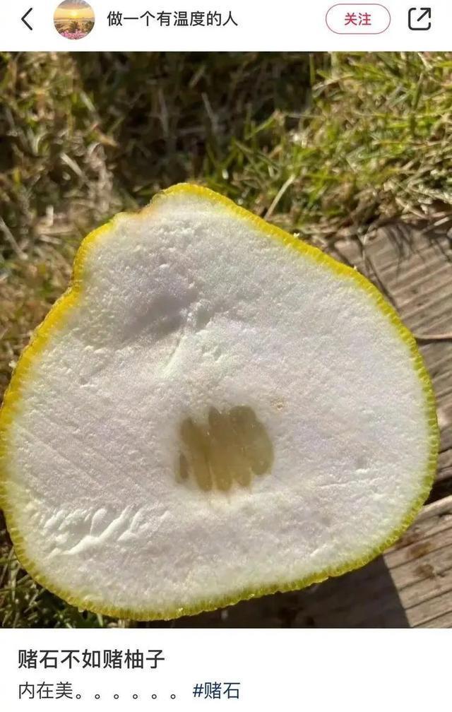 |冬至到底吃什么的终极答案 冷段子2018