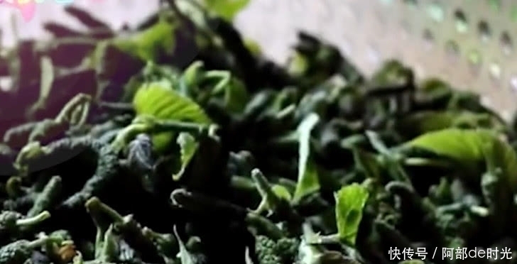 农村房屋后院的这种植物,全身上下都是宝,被中医奉为“药王”