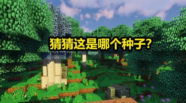 玩家|我的世界：第一次“入正”是什么感觉？当时的自己，已经开始膨胀
