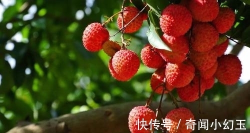 9条打发无聊时间的趣味冷知识,分享给小伙伴们一起学习吧