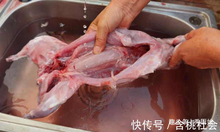 兔子|此肉国内很少人吃,外国人吃到不能自拔,钙是牛肉3倍,别不懂吃