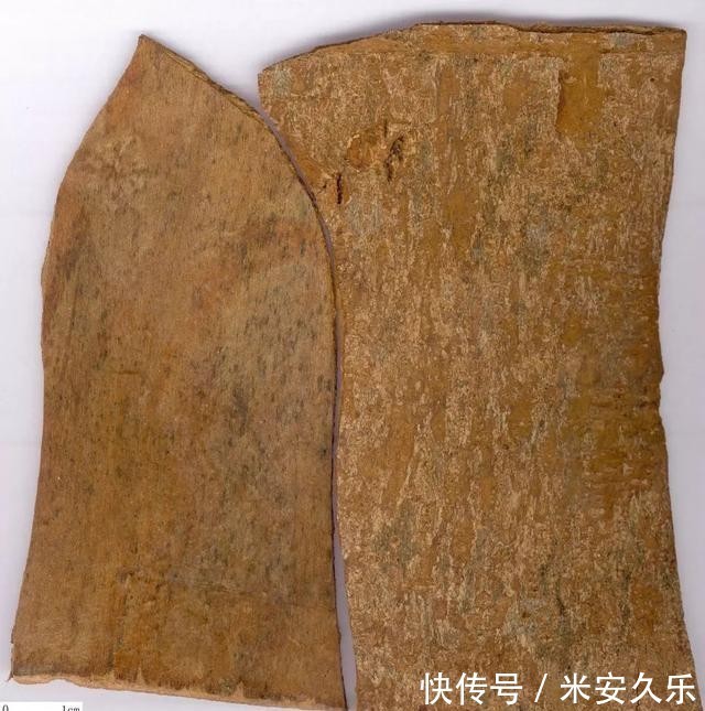 疏通|天气越冷身体越不通,一补就上火,上热下寒的人,这样做疏通身体