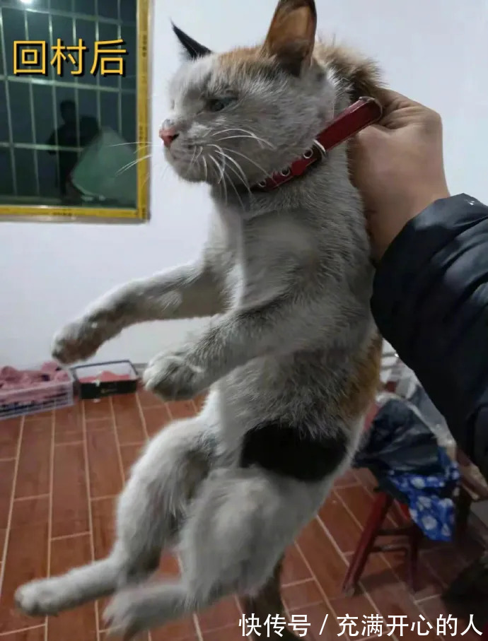 |今日段子:离职的一百种原因之一!竟然是因为大便!