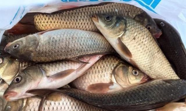 野钓打窝我绝不乱来牢牢记住这“八字诀”,不管在哪钓都能过瘾