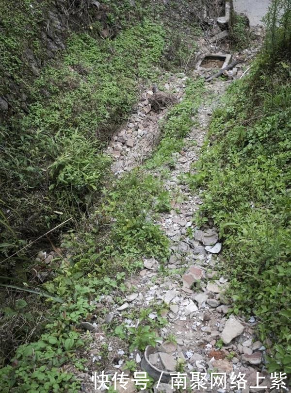 沉船|爪哇岛沉船中发现7500件瓷器,它们全都产自800年前的中国