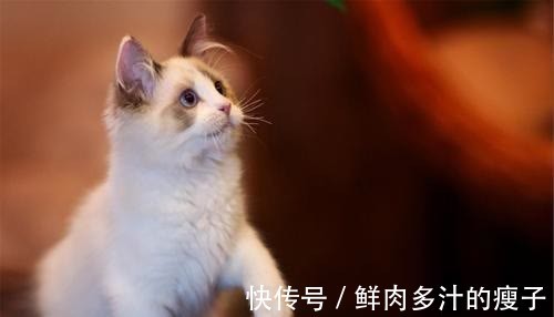 |幽默笑话:陪女友逛街,钱包瘦得我心疼,过红绿灯时遇到了个乞丐