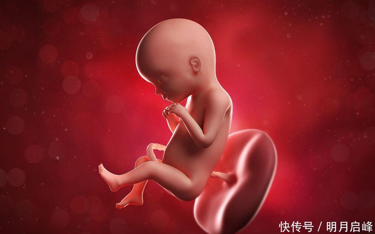 性别|怀“小王子”的宝妈,身上有这4大特征,赶快接好孕吧