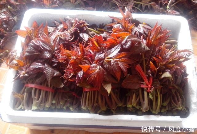 香椿|这7种蔬菜网评说最难吃的,全部尝过的,我想叫你一声“大师”