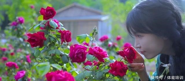 做一桌玫瑰,送给我最爱的你们~