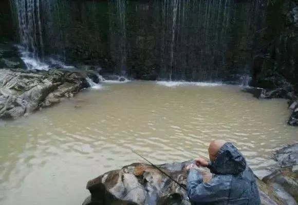 大鲫鱼|冬季如果想垂钓大鲫鱼，一定不要错过这些黄金钓位，下竿就有口！