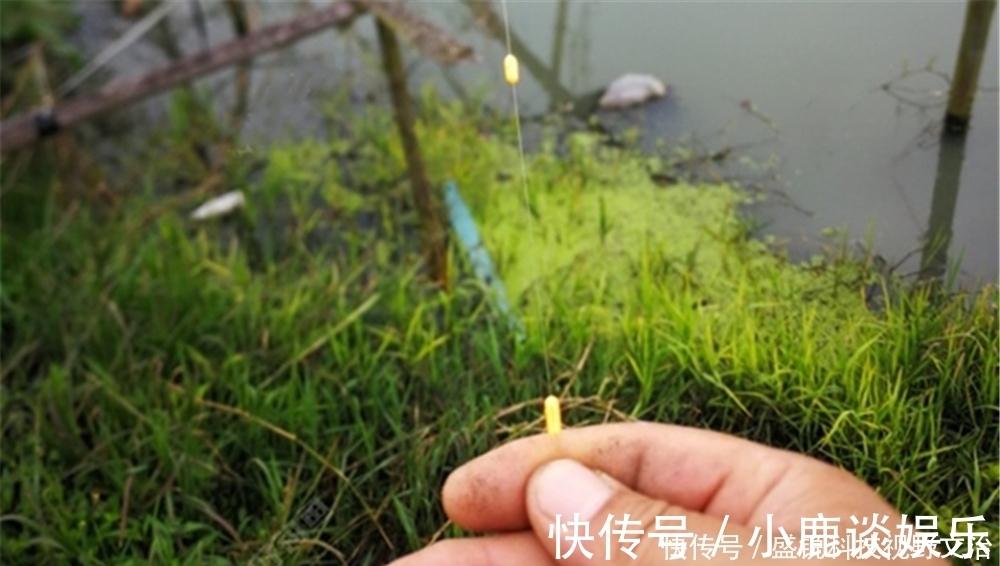 七星漂钓组的两种调漂方法，方法都很简单，第二种方法更适合走钓