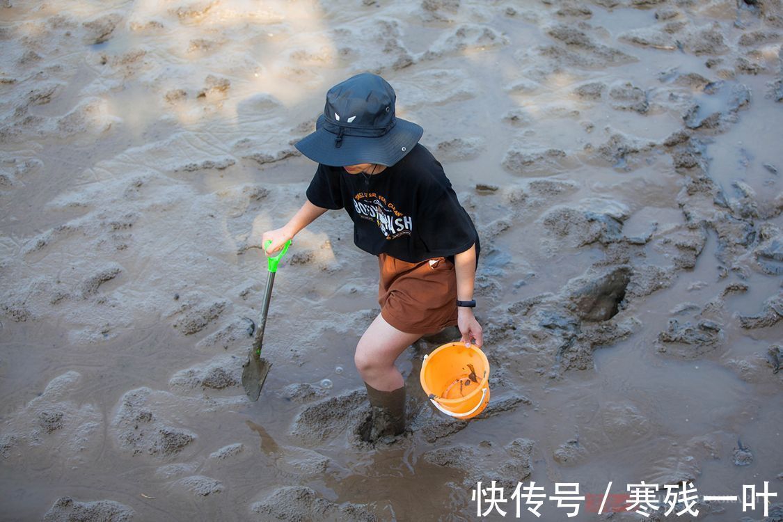 小城|国内一座小城没有特别低的温度，却成最佳避暑地，你知道是哪吗？