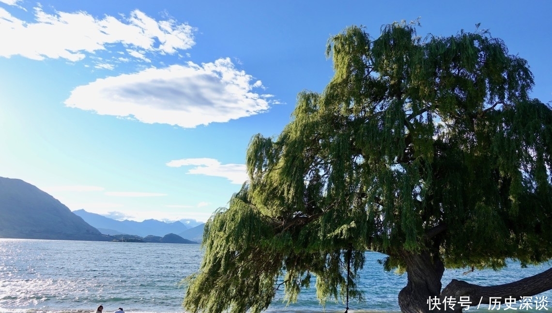 湖中|长在湖中的大树：新西兰卡瓦纳之树，被誉为“世界上最孤独的树”