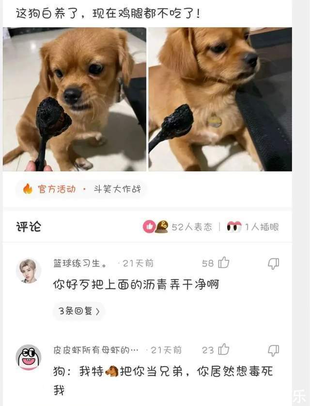 |搞笑合集:村子里有一群神秘人,整日打牌不愁吃喝,哪来的钱