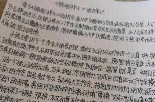 2021高考中，“鲸落字体”比“奶酪字体”更吃香？看看老师怎么说