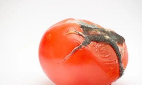 水果|4种最伤身的水果,再喜欢吃也得忍住,不然给你算总账