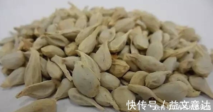 用处|橘子籽可是个宝,用处可大了,看完再也不舍得丢了