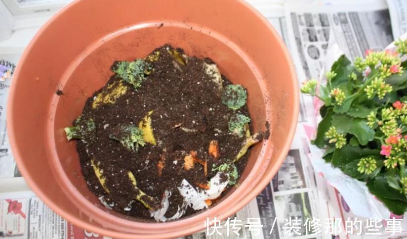 自制肥|喜欢养花,夏季就抽点空自制肥,闷2、3个月就能用了
