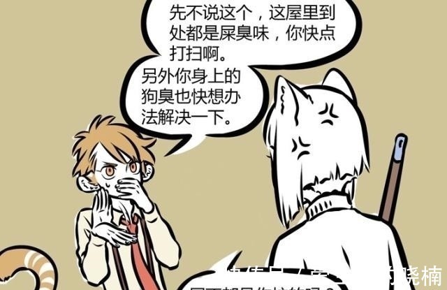 老虎|非人哉：老虎，再霸气也只是猫科动物，它也会有“失恋”的一天！