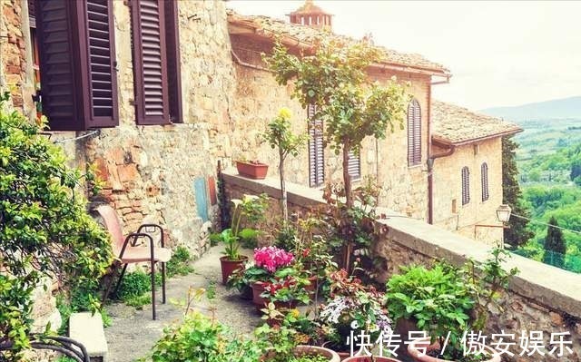 中国传统文化|阳台再小,也能养3种树,小盆就能养,个个都是“传家宝”