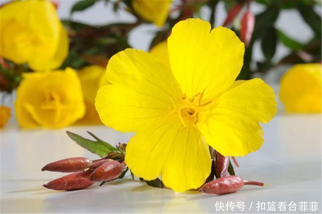 院士|心血管院士:1种“零食”经常吃,血脂变低,血管“清干净”