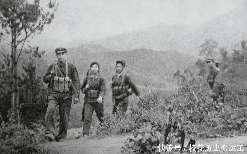 睡着|新兵作战太累在草丛中睡着了，醒后被当成特务，幸好他说了这句话