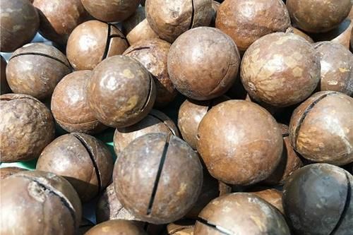 虾皮是“补钙神器”?医生:别盲目补,真正补钙的食物已为你列出