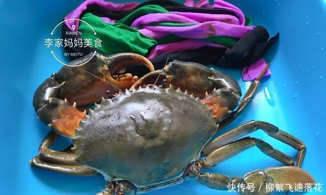 不吃|买螃蟹时,不要买以下两种螃蟹,老渔夫不吃,所以他们有知识