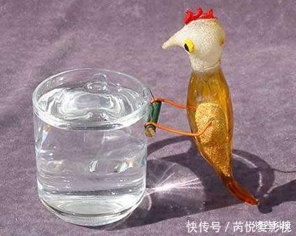 智慧的结晶!中国古人发明的饮水鸟,“让爱因斯坦也吃惊的玩具”