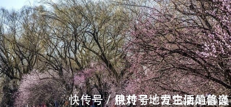 唯美!范成大最经典的一首六言绝句,同样也被低估了,通篇美得令人心醉