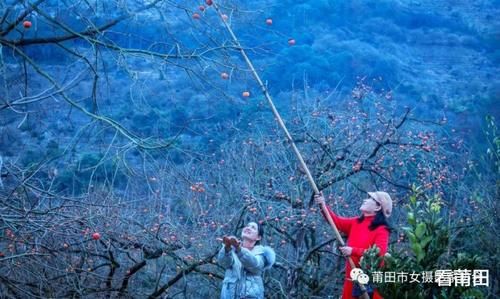 又见福建古村那一抹柿子红，你怎能错过？