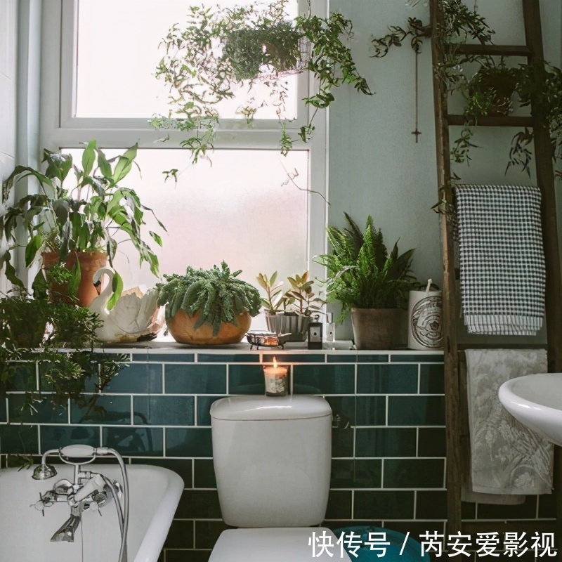 阳台上|5个位置，不能养花，养一盆死一盆，看看你中招没有