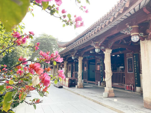 福建有个千年寺庙，藏在泉州闹市区却很安静，还可看到国宝级古塔