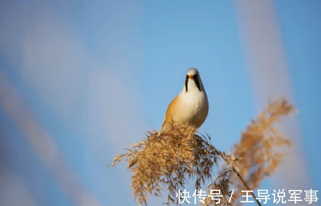 无用之物$以无用之事,修自在之心