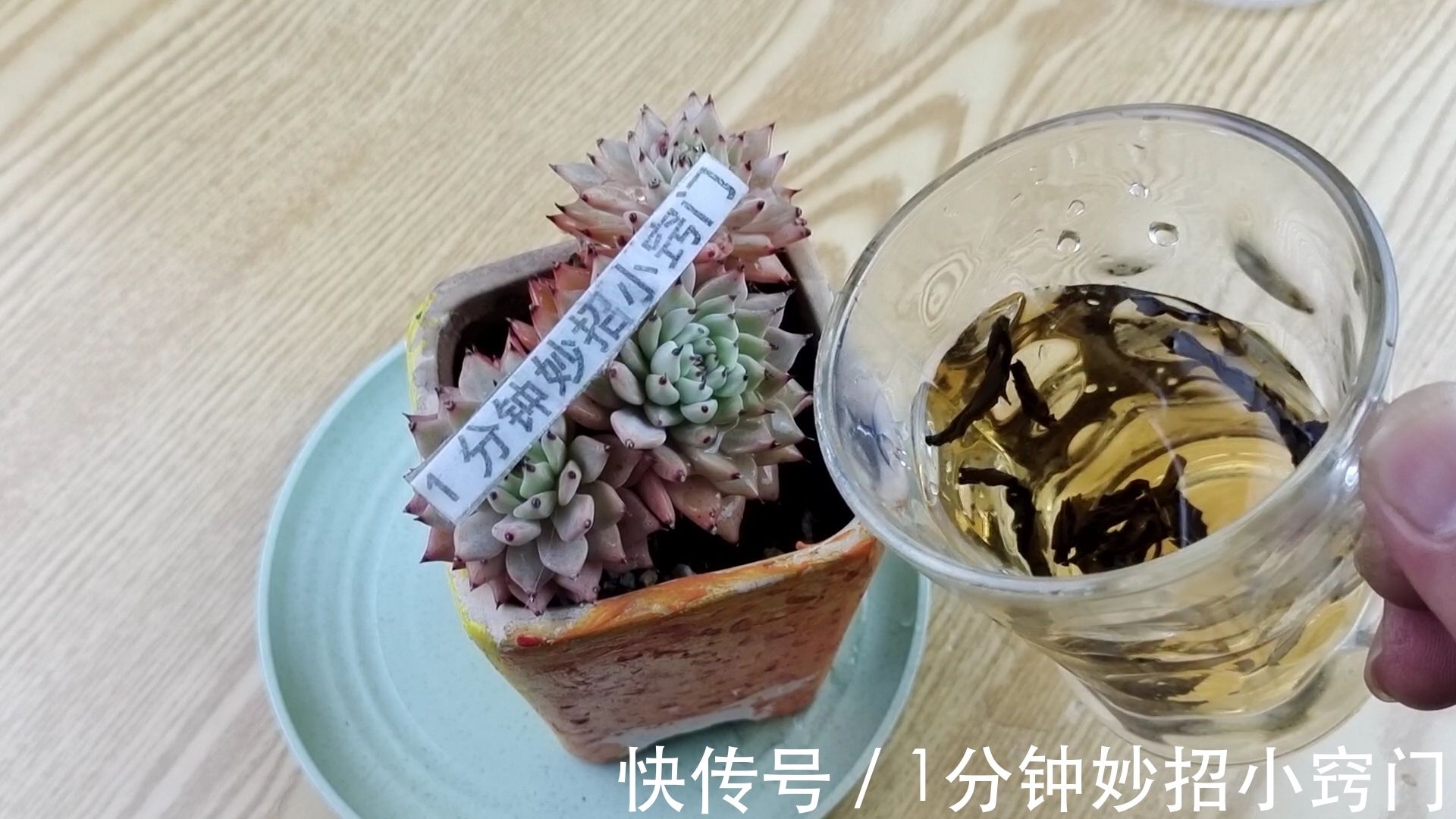 茶水|今天才知道,原来隔夜茶的作用这么厉害,解决了很多人的大难题