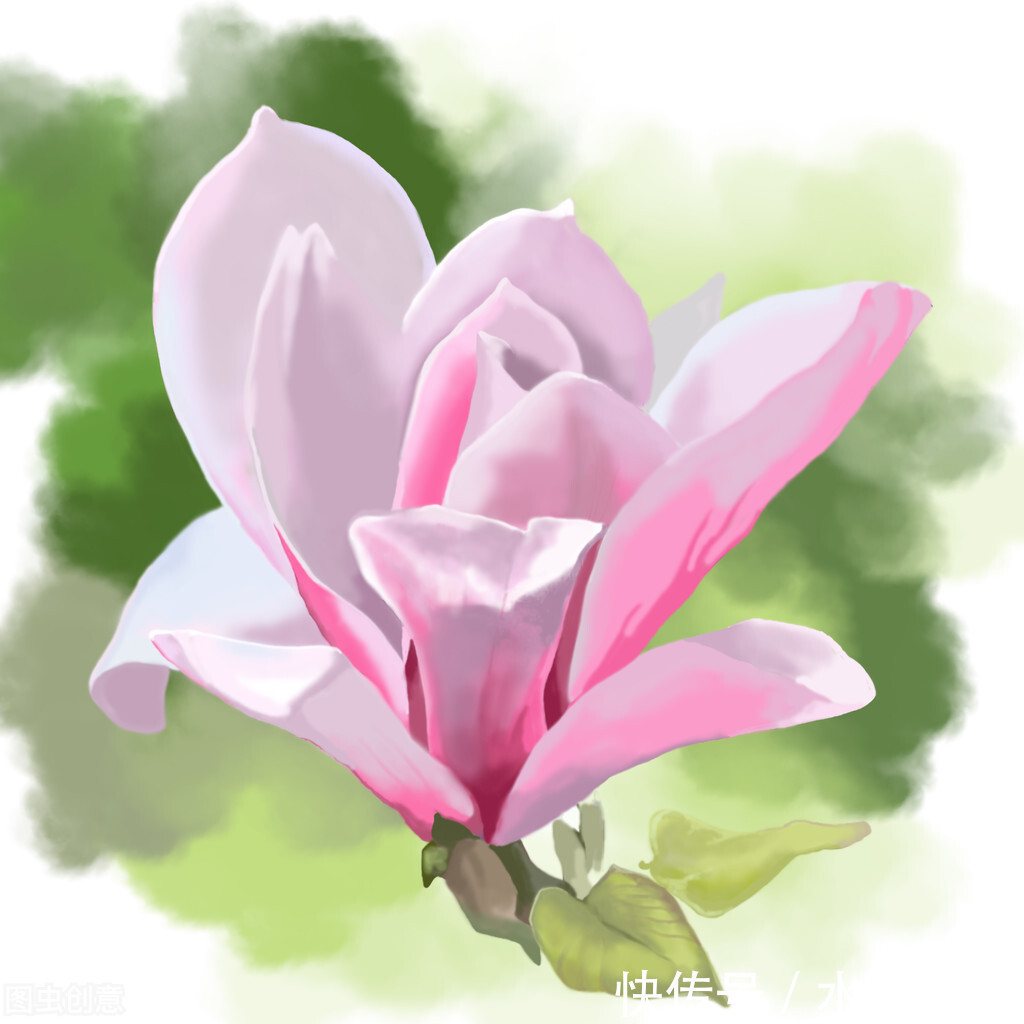 春夏秋冬@情思缱绻,碎语年华,总有一个人,止于唇齿,掩于岁月