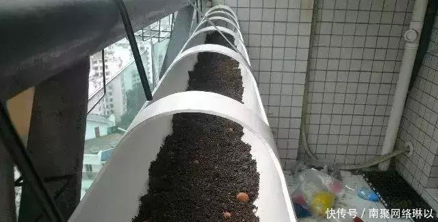 开槽|阳台别再晒衣服了,用一根水管,就能种出全家人吃的菜!