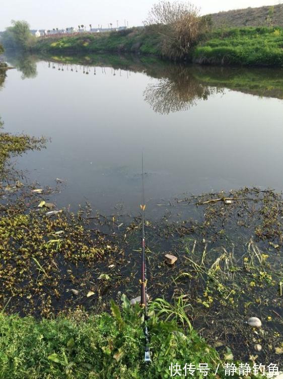 立冬过后,怎样选择钓位?掌握了这四点,才是收获满满的关键