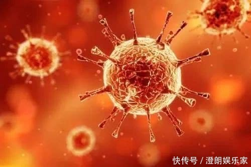 现在才知道,蒲公英不能随便泡水喝,三个问题要注意,别犯错!