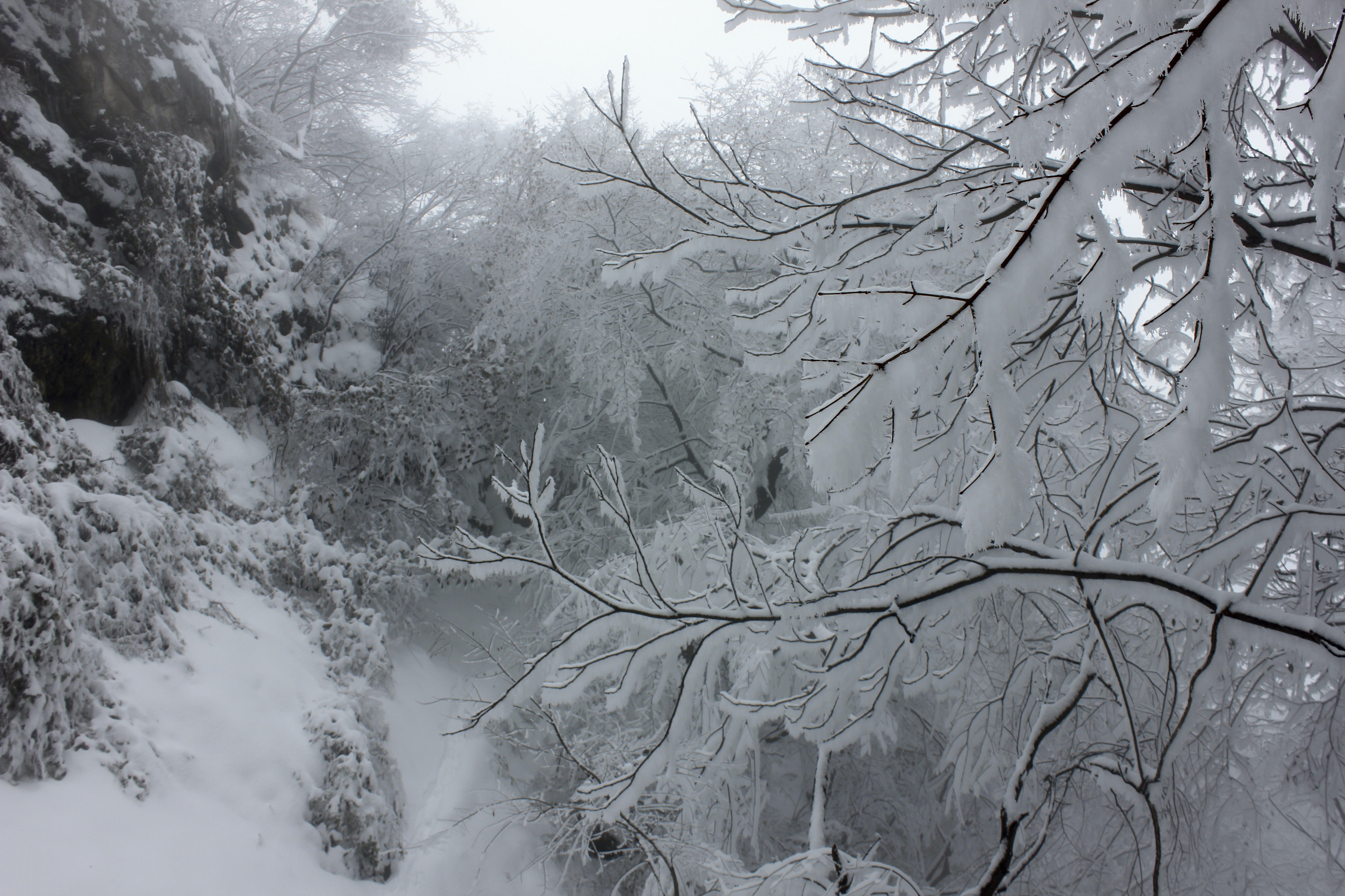 征集|【年末福利征集】雪后南五台幸遇云海