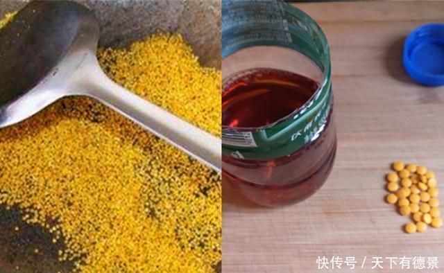 春天钓鲫鱼,好用的窝料和饵料配方,饵料对了口,渔获不用愁