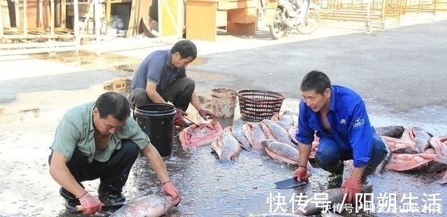 大鱼|夏季守巨物的3个要素，“诱鱼、留鱼、钓鱼”，缺一不可！