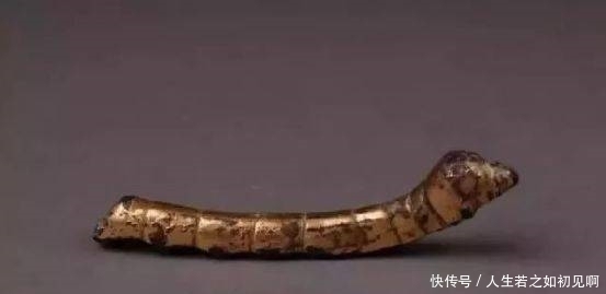 金蚕|马未都:这条金蚕,当年无人问津!