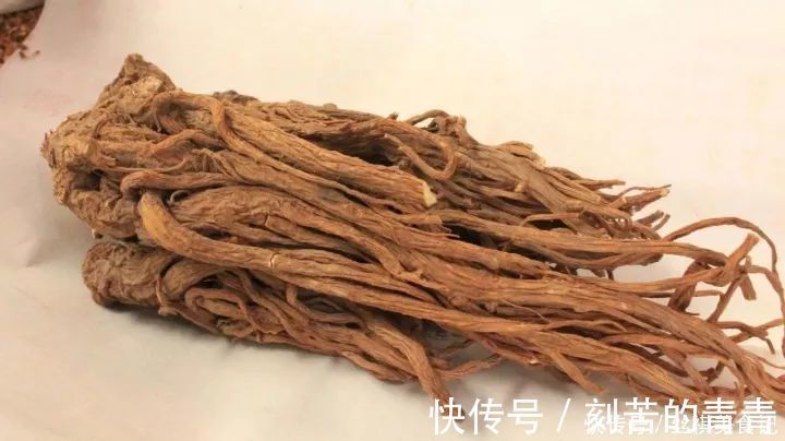 玫瑰花茶|养肝就是养命！两味中药泡水喝，养好肝就这么简单