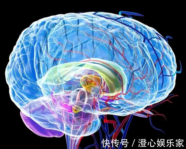 益智食物|0~3岁是宝宝大脑发育黄金期,经常吃8种益智食物,娃越吃越聪明