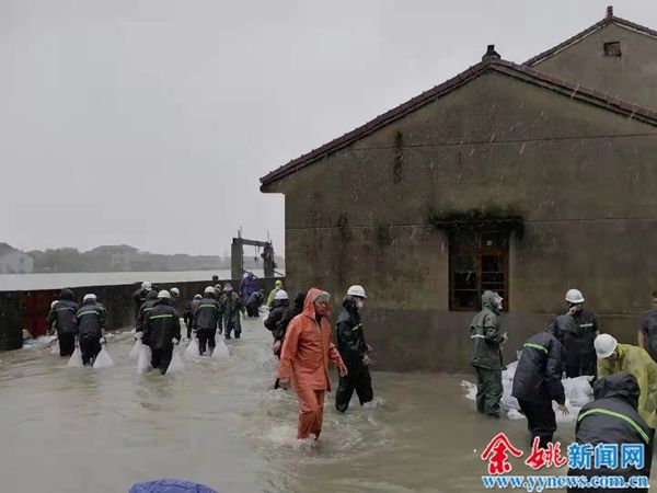 陆埠镇政府|抗台抢险！五湖四海兄弟一条心