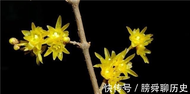 释义|人生有四悲四喜,人生“三惜”又是什么?