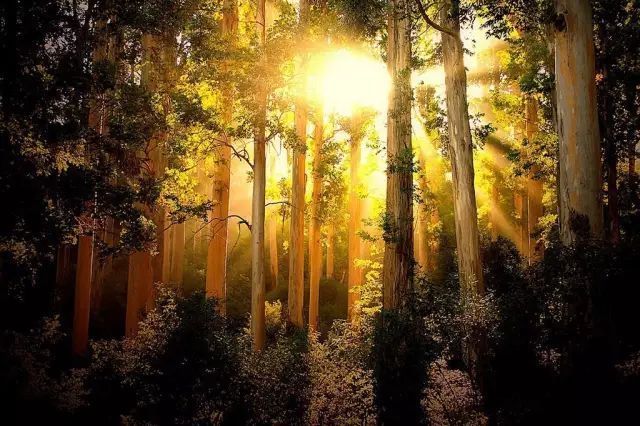 寒湿|阳气足，百病消！教你7个方法，让你阳气十足，远离寒湿！